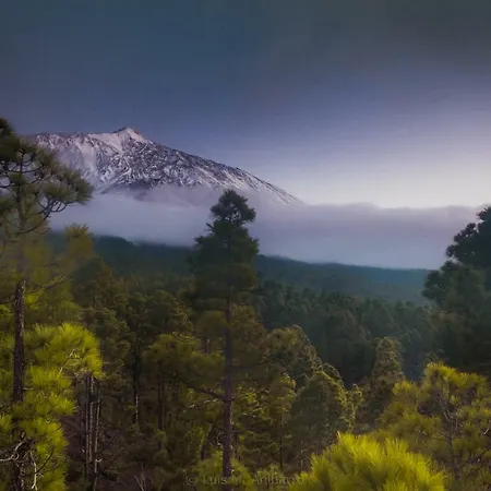 Estudio Rural - Nature & Relax Apartment La Orotava